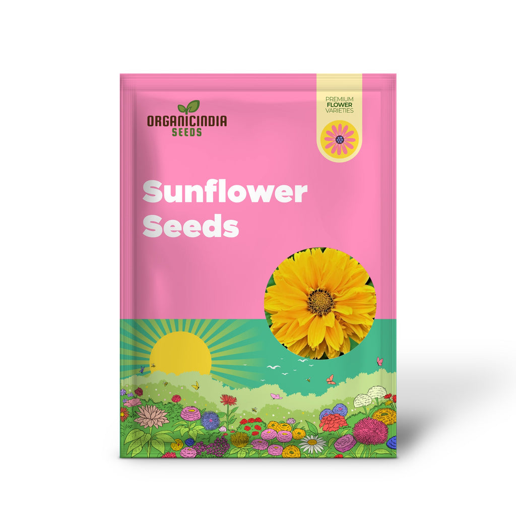 Graines de Faux Tournesol (Heliopsis Helianthoides) - Vivace rustique, Fleurs résistantes à la chaleur et à la sécheresse