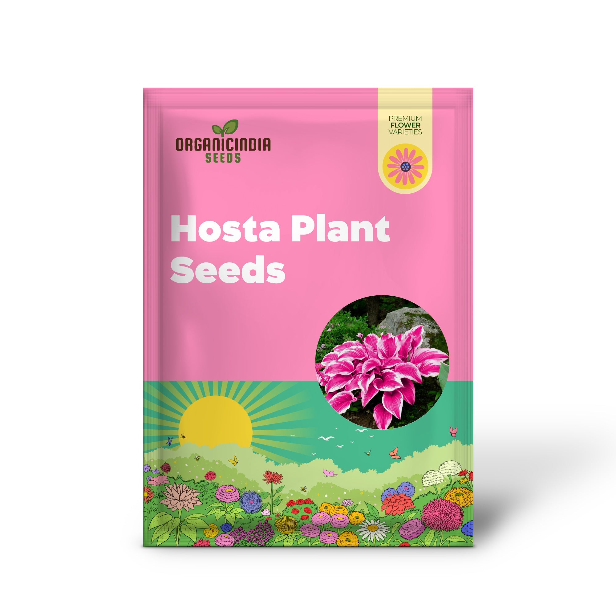 Graines d'Hosta Rose Vivace Bonsaï pour Jardins Intérieurs et Extérieurs, Attire les Pollinisateurs