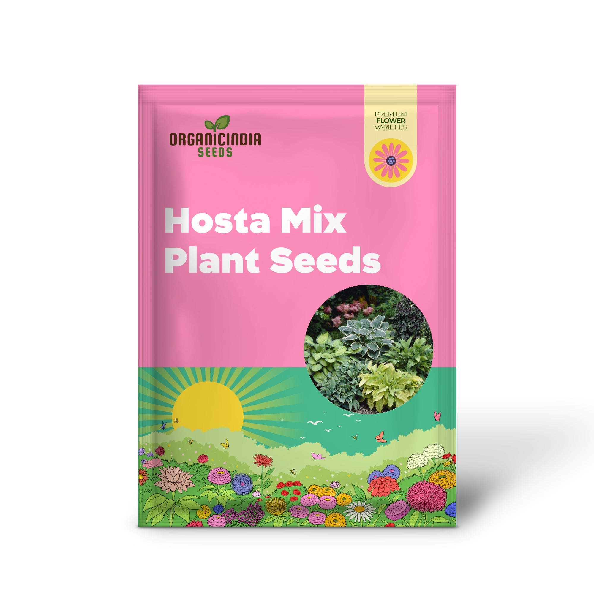 Hosta Seeds (Hosta Mix Plant Seeds) - Hardy Perennial Mix for Shade Gardens