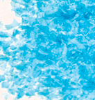 Paillettes Comestibles - Pot de 113 g