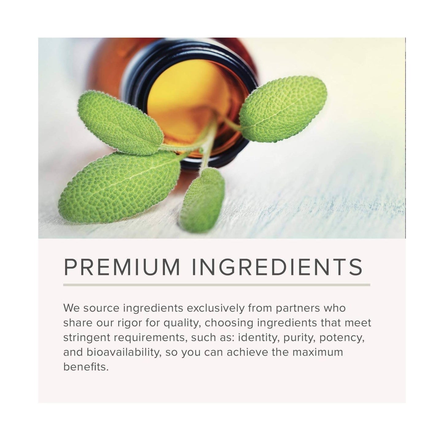 NusaPure Lemon Balm 30:1 Extract, 200 mg Per Vegan Caps - 200 Count Non-GMO, Vegan Bioperine
