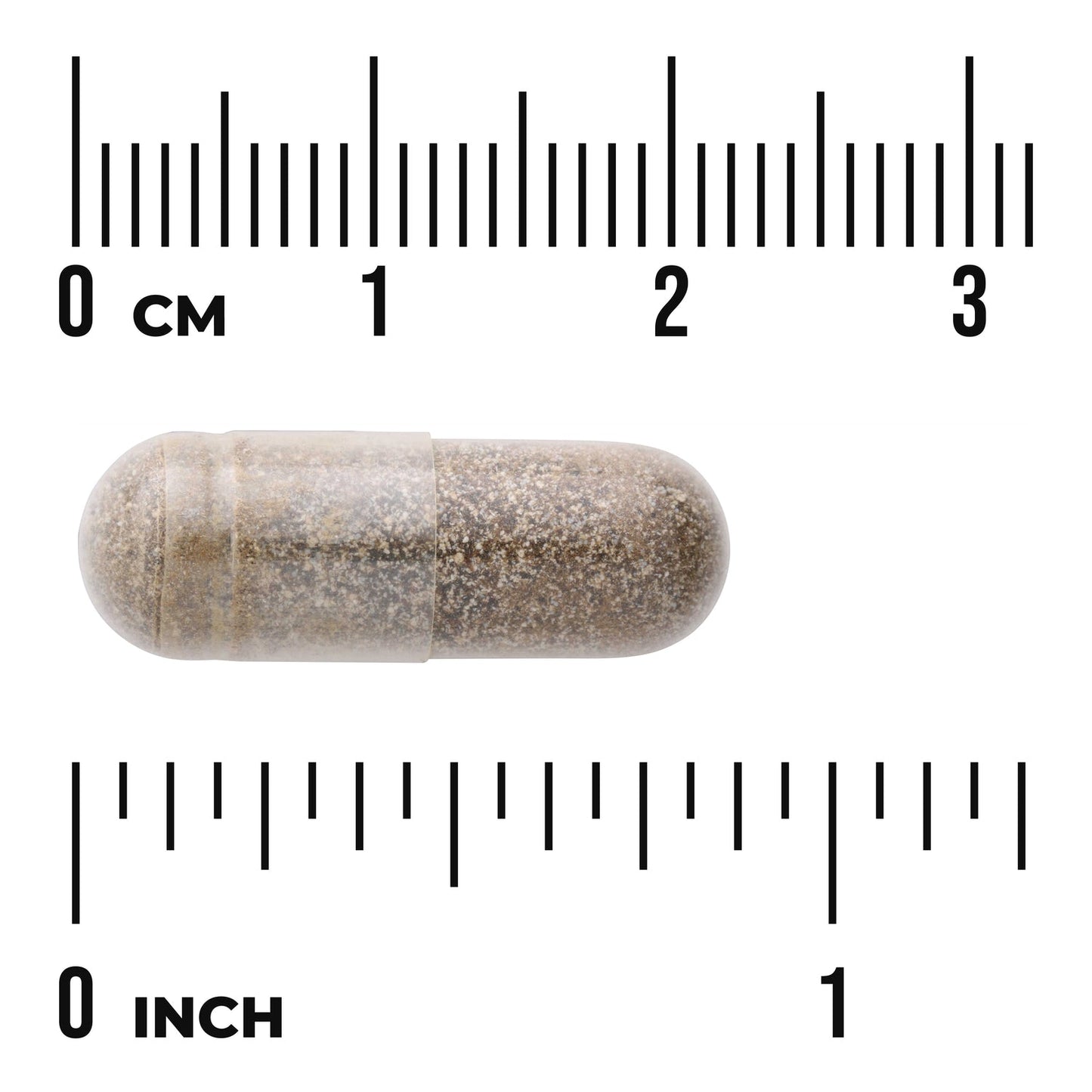 Gymnema Sylvestre Extract - Standardized