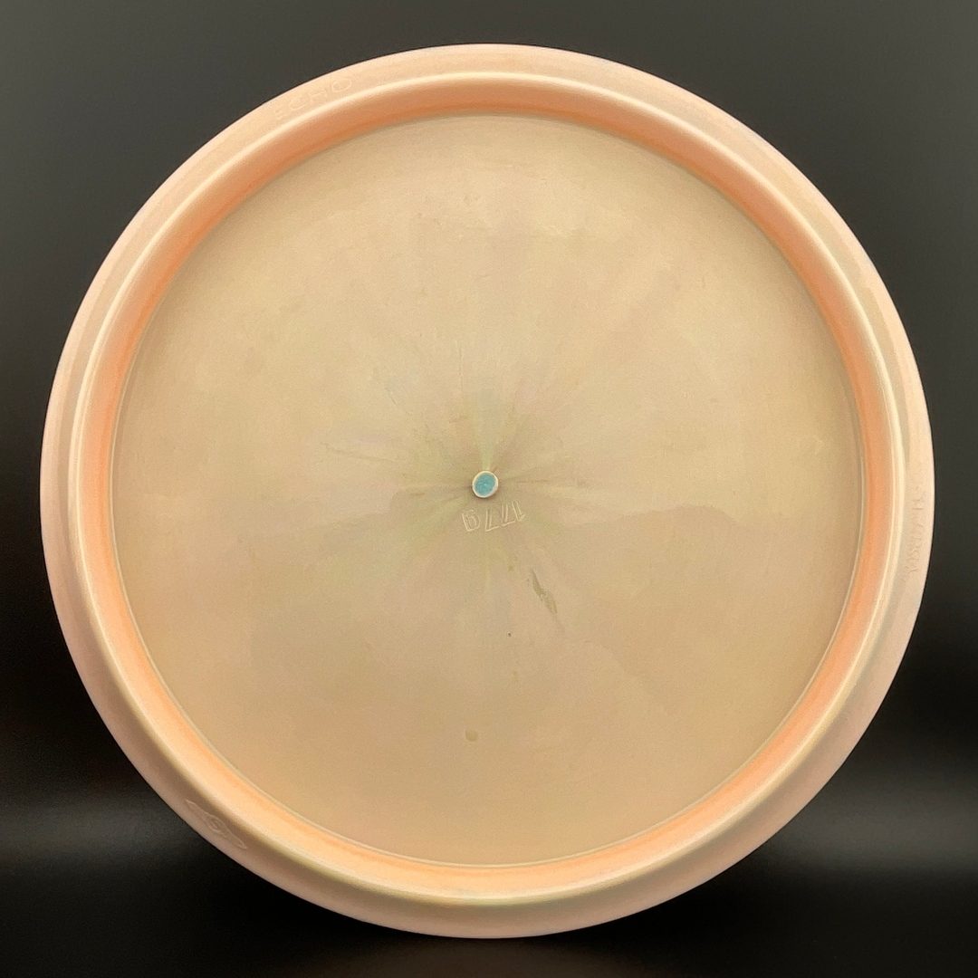 Neutron Echo
