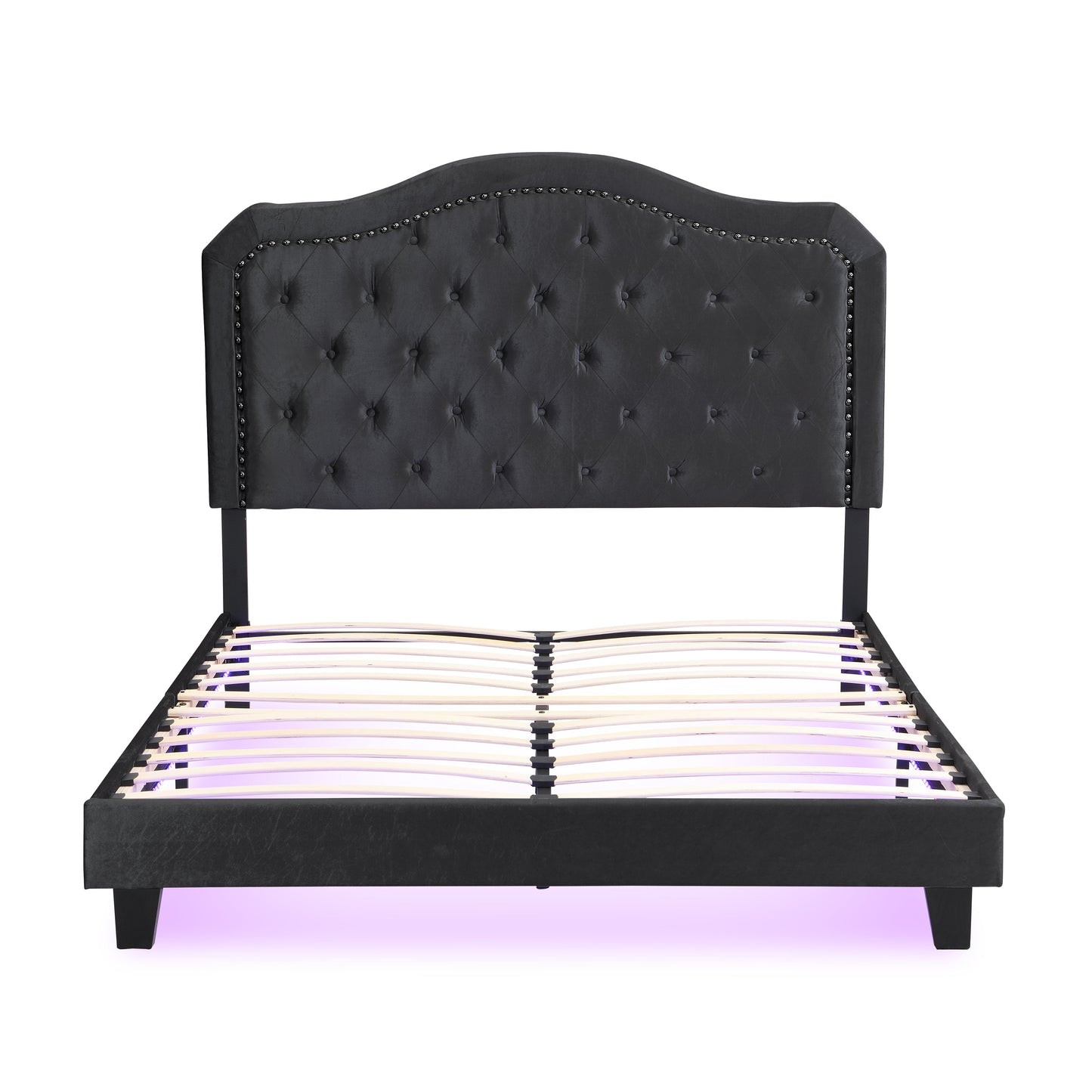 Upholstered Bed Button Tufted with Curve Design