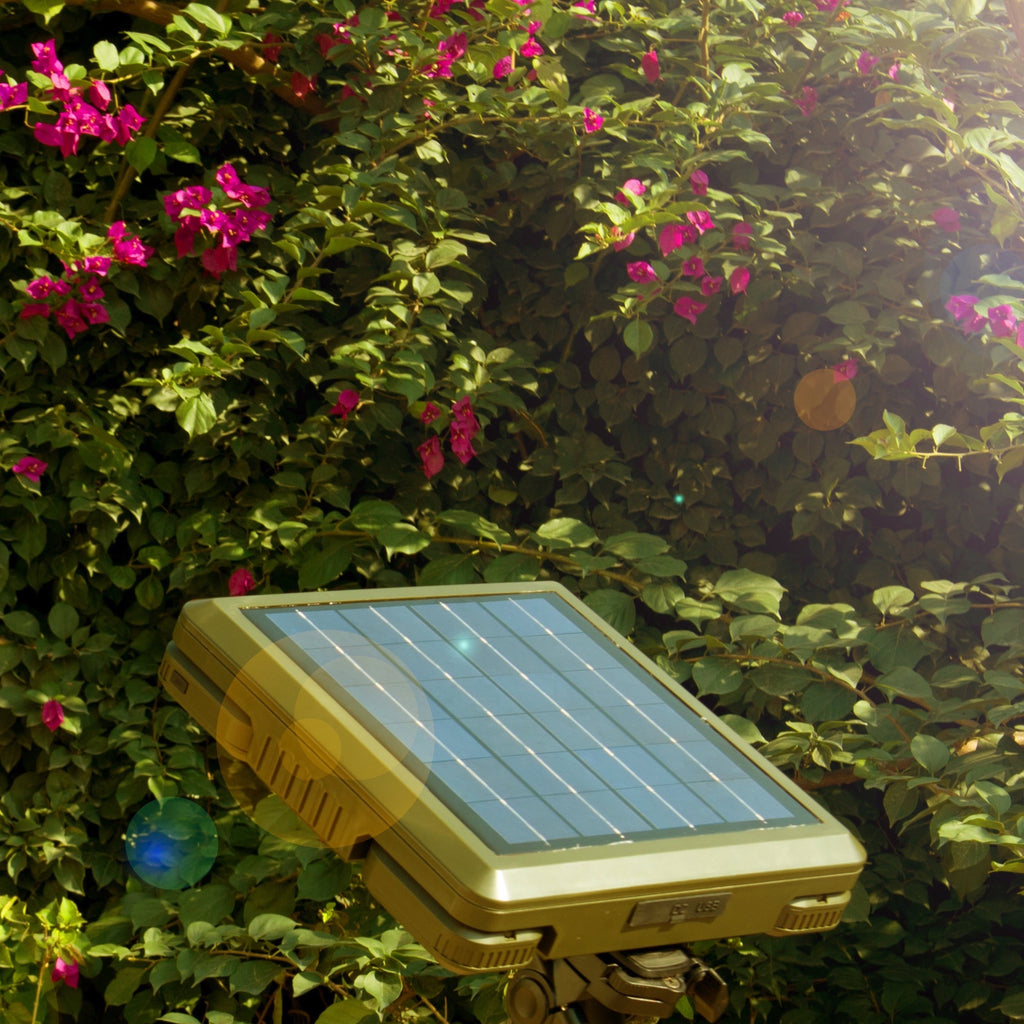 TRU De-LIGHT WHITENIGHT Multipurpose Solar / AC / DC - Garden, Camping Main Light + 3 Independent Detachable Multi Mode Side Lights / Tripod + Carrying Bag
