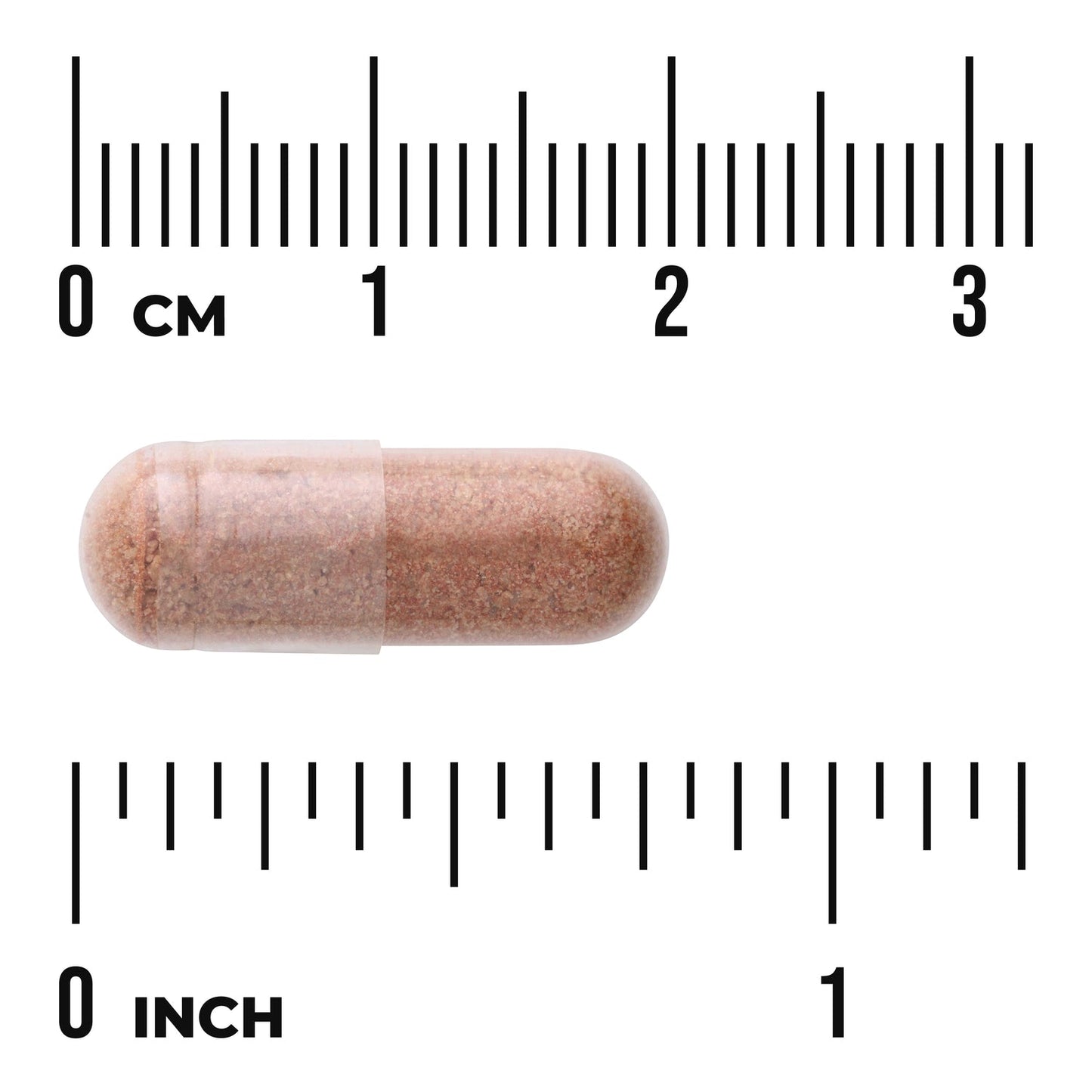 Pine Bark Extract - Standardized