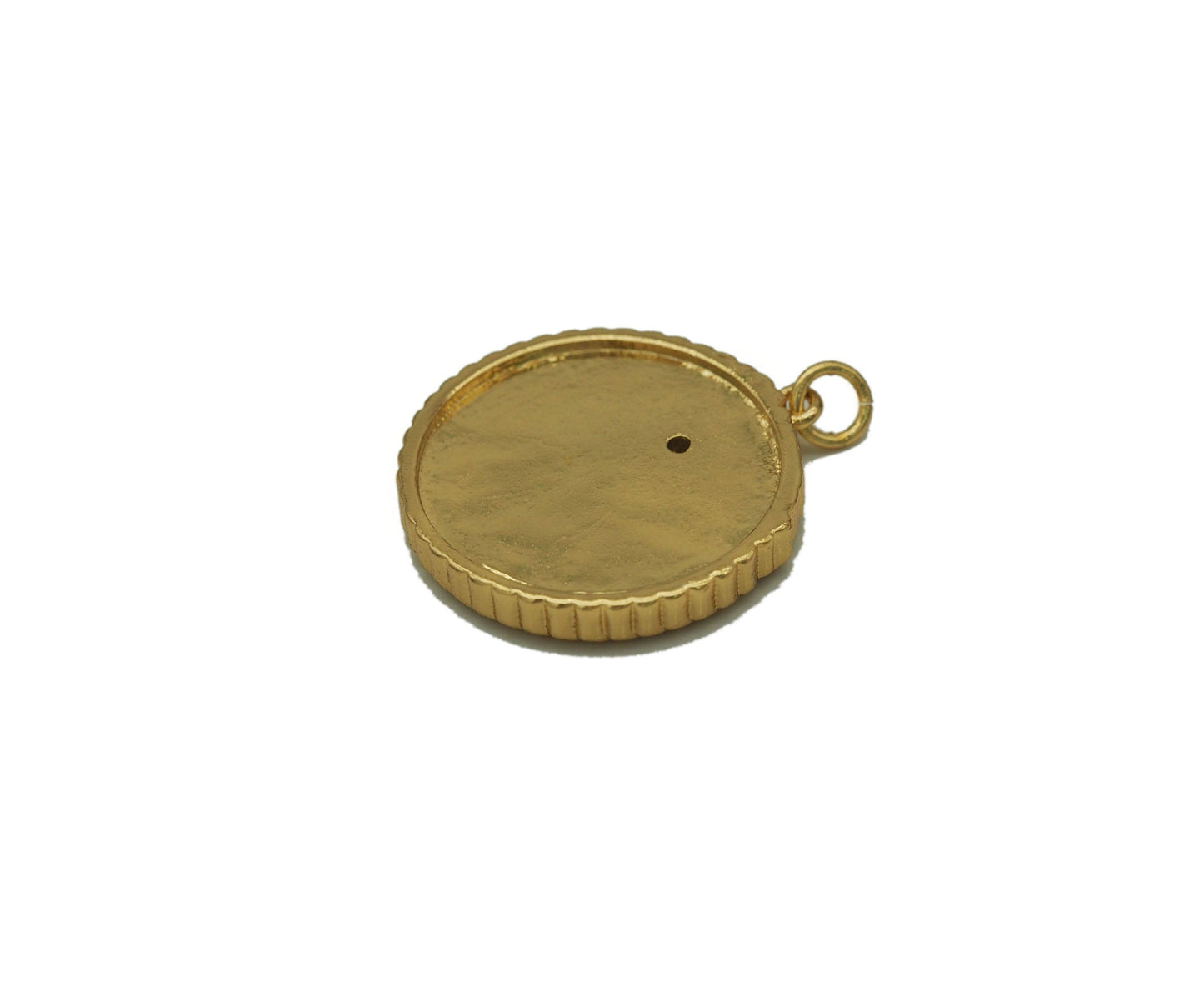 Gold CZ Embossed Snake On Round Coin Charm, Sku#F1501C