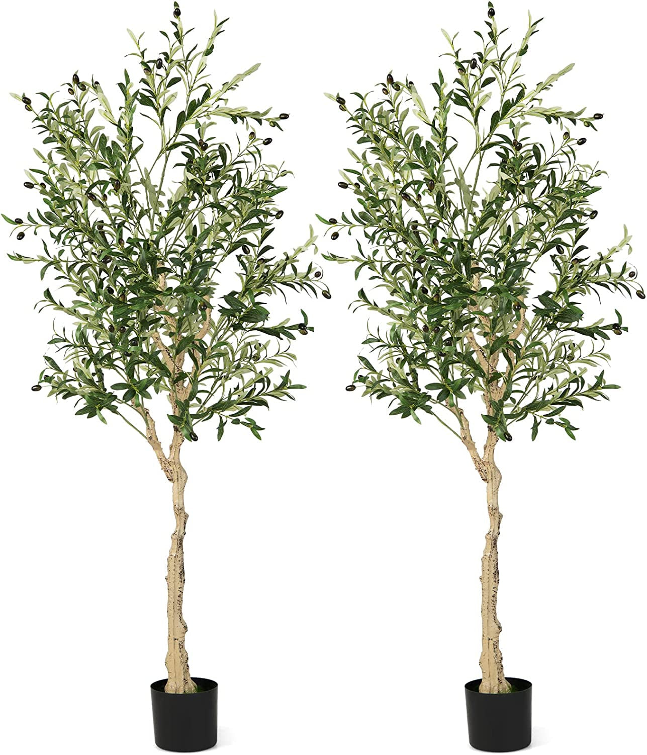 6 Feet Artificial Olive Tree in Cement Pot