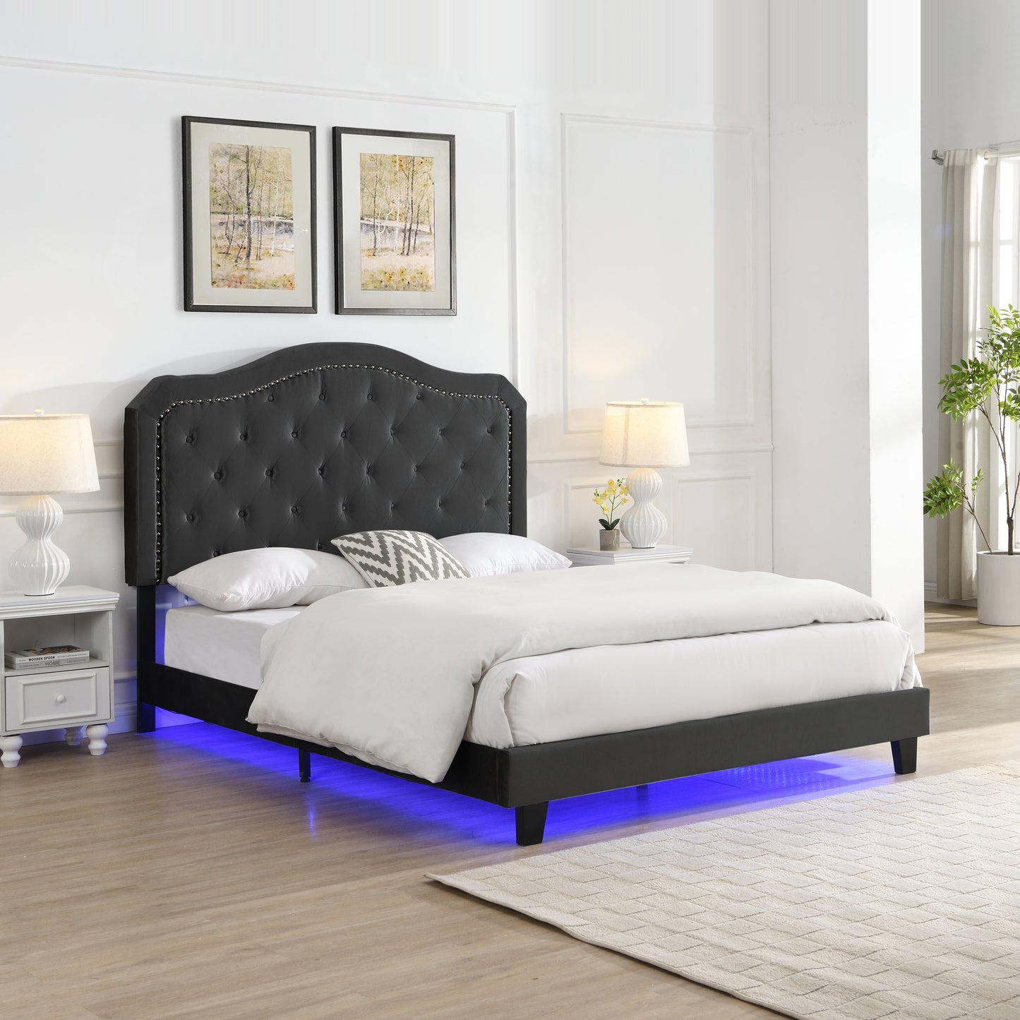 Upholstered Bed Button Tufted with Curve Design