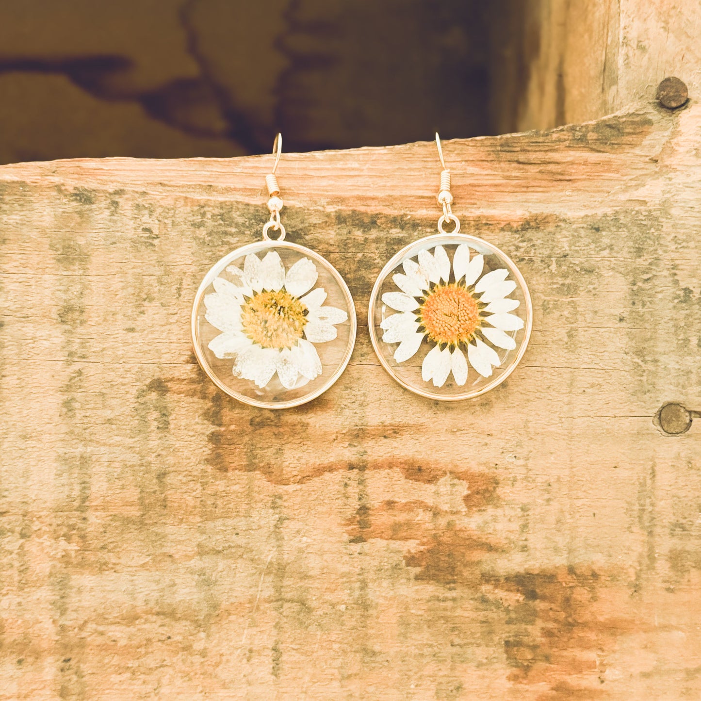 Beautiful Gold Daisy Earrings