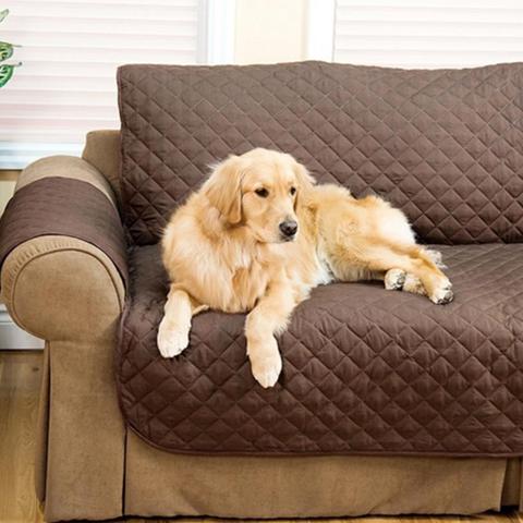 Convertible Couch Cover Furniture Shield