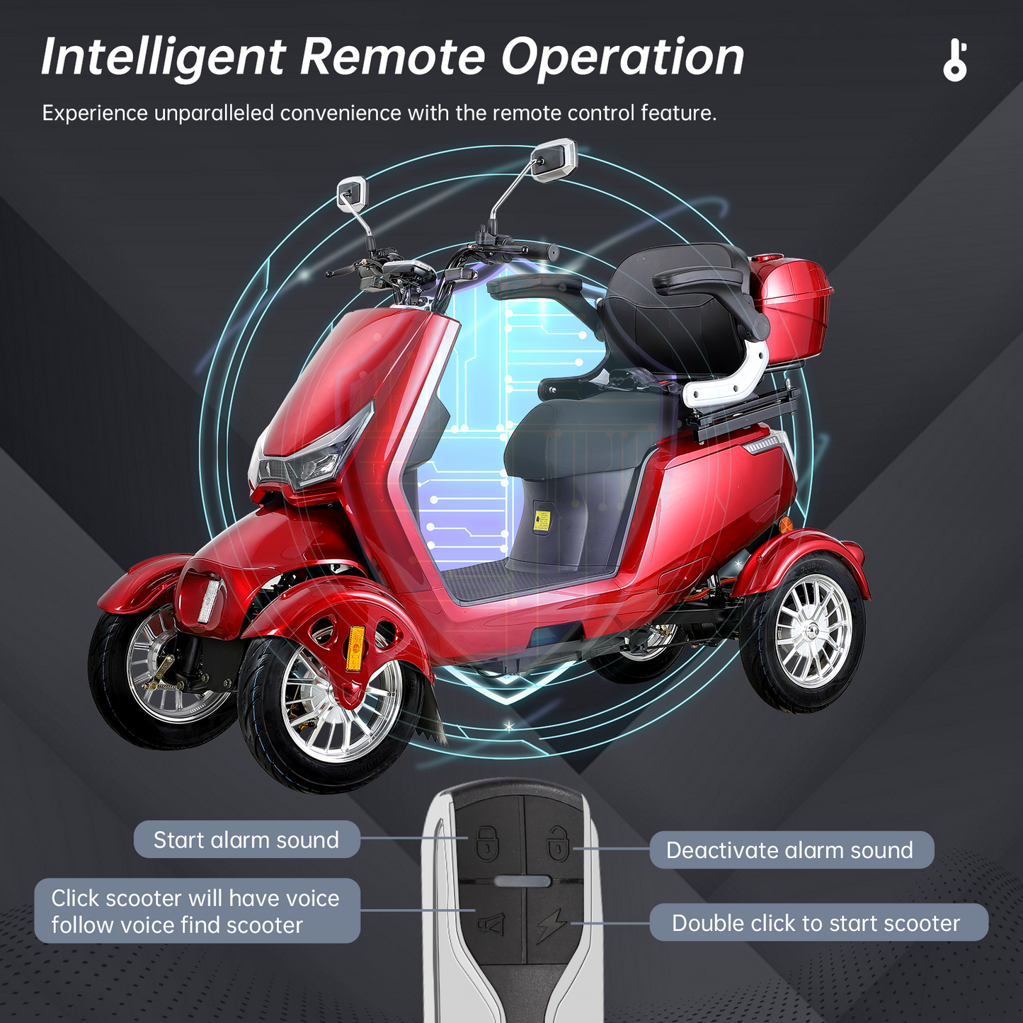 Electric Mobility Scooter with Big Size, High Power