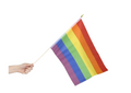 12" x 18" Rainbow Flag - 3 pack
