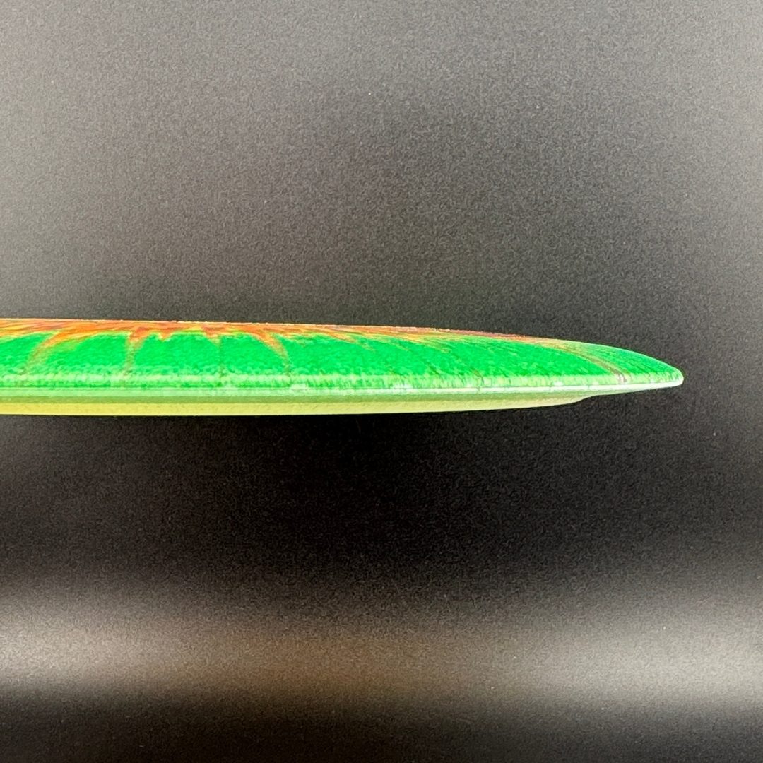 I-Dye Champion Tern