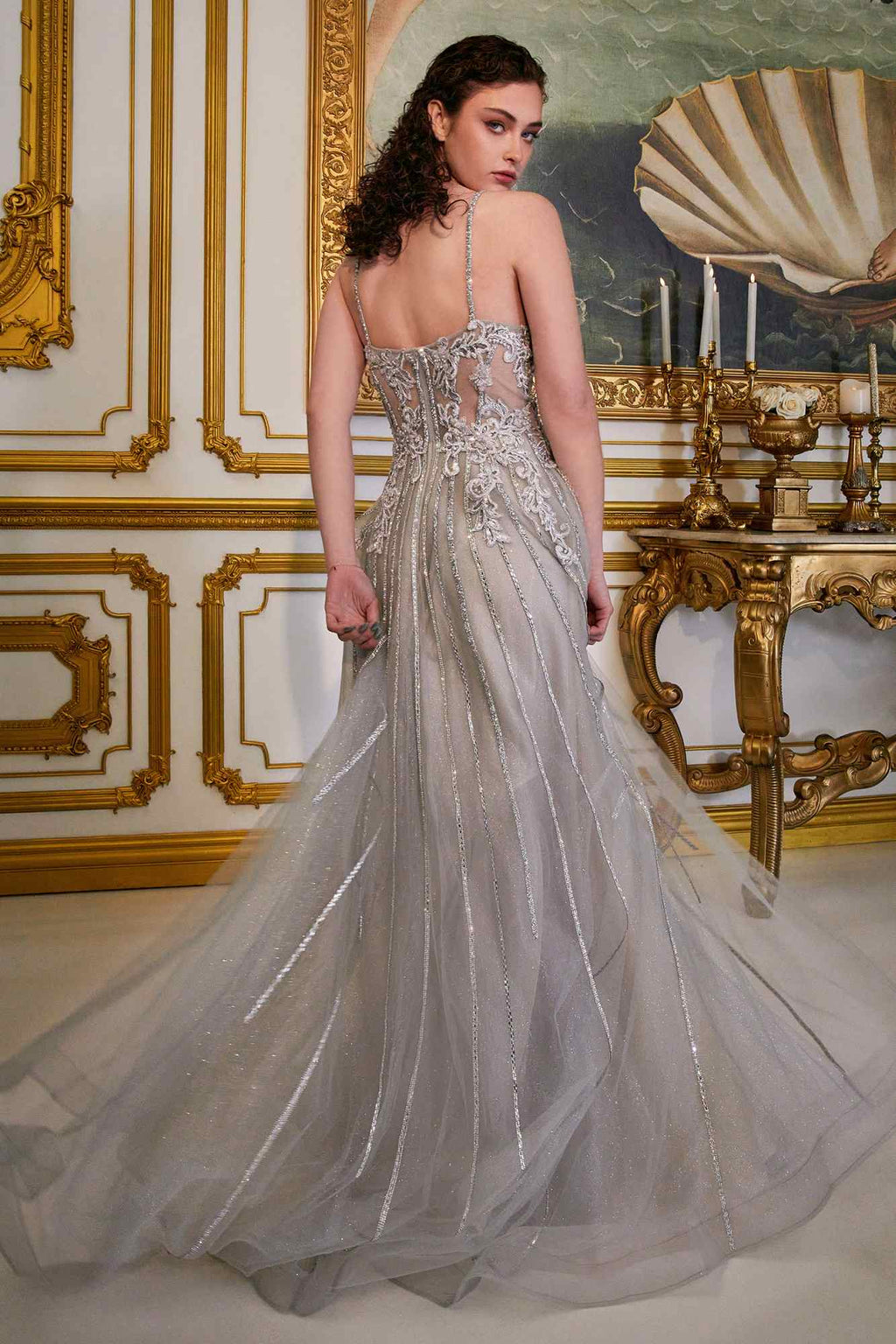 Cinderella Divine CD994 Long A-Line Beaded Tulle Gown Lace Detail V-Neck