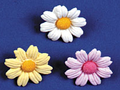 Daisies - Small - White 240 pcs