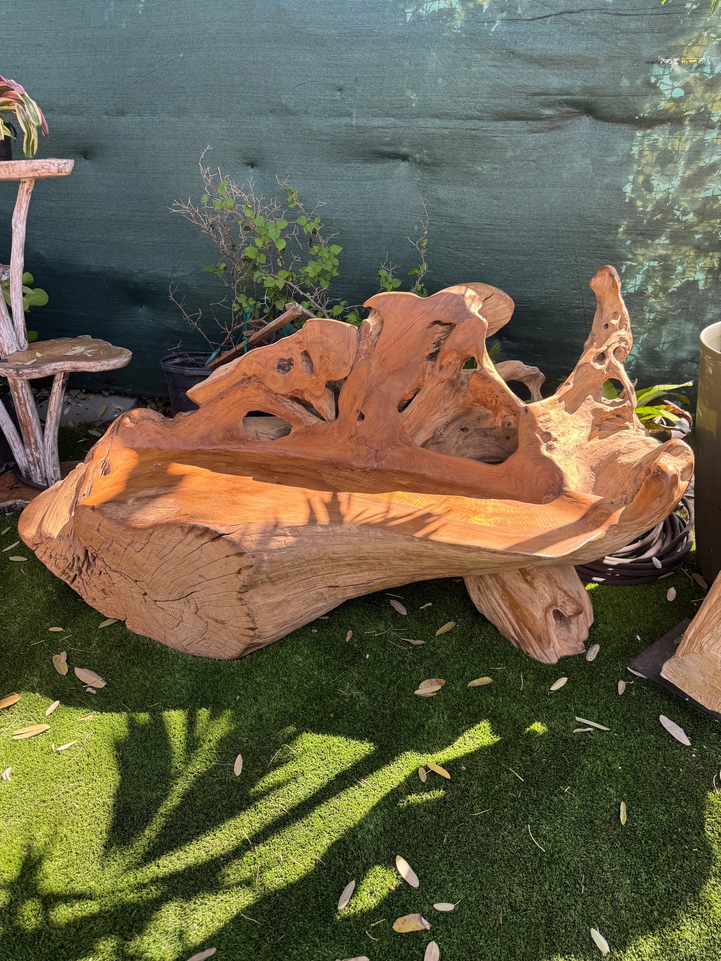 Teak Root Sofa XXL (B)