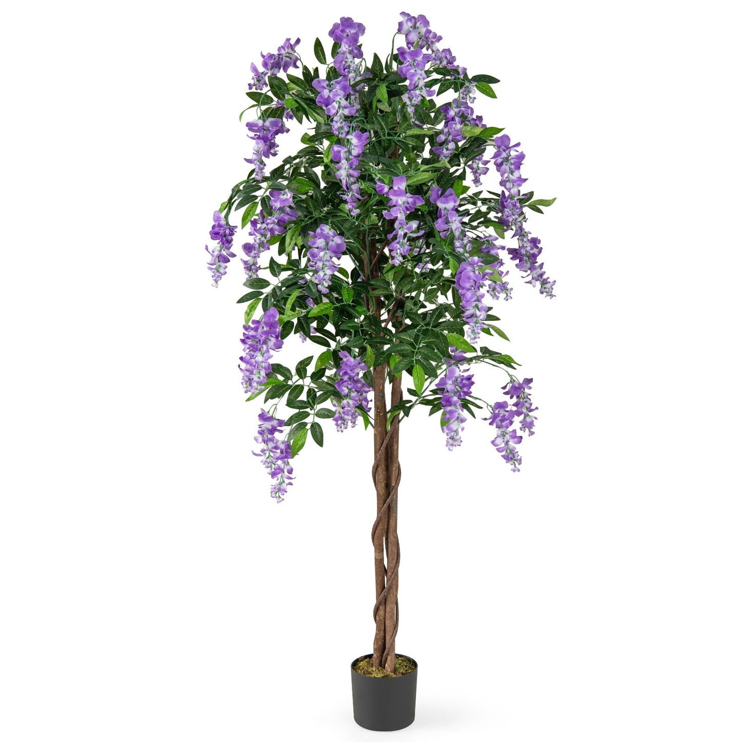 5.5 FT Faux Wisteria Plant in Nursery Pot with Blooming Flowers