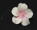 Fleur de fruit individuelle - Grande rose 18 pièces
