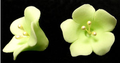 Fruit Blossom Single - Light Green 110 pieces