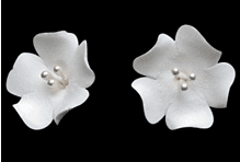 Fleur de fruits simple - Blanc 110 pièces