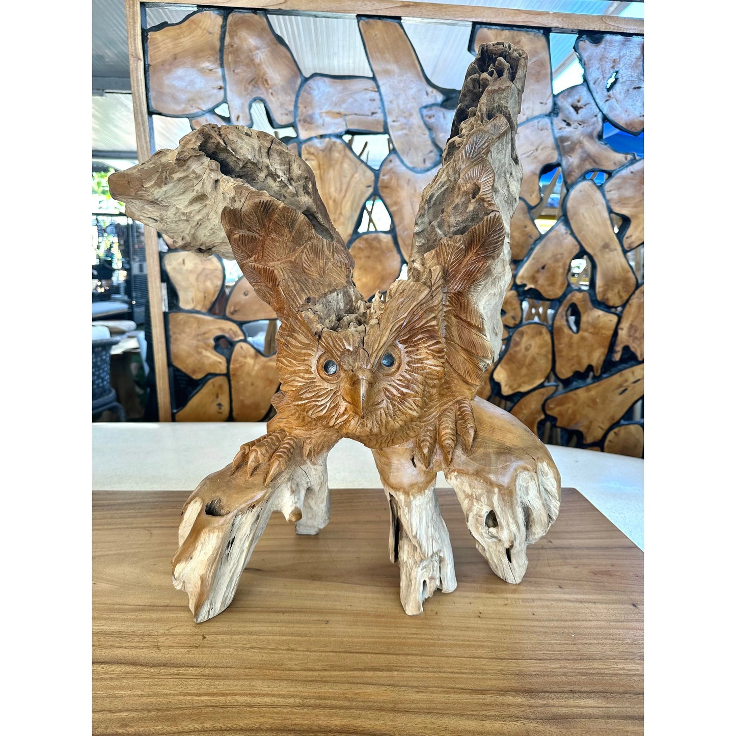 Teak Owl