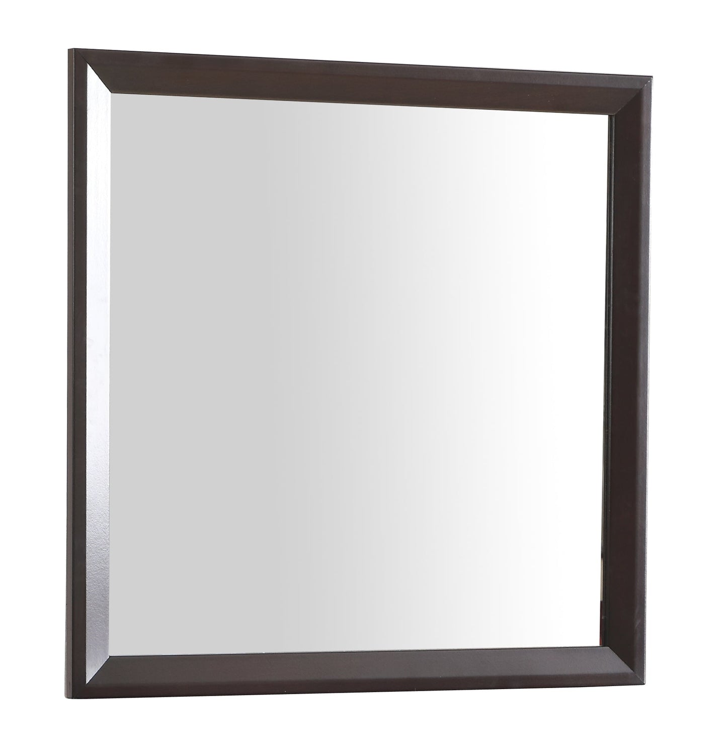 Primo G1300-M Mirror
