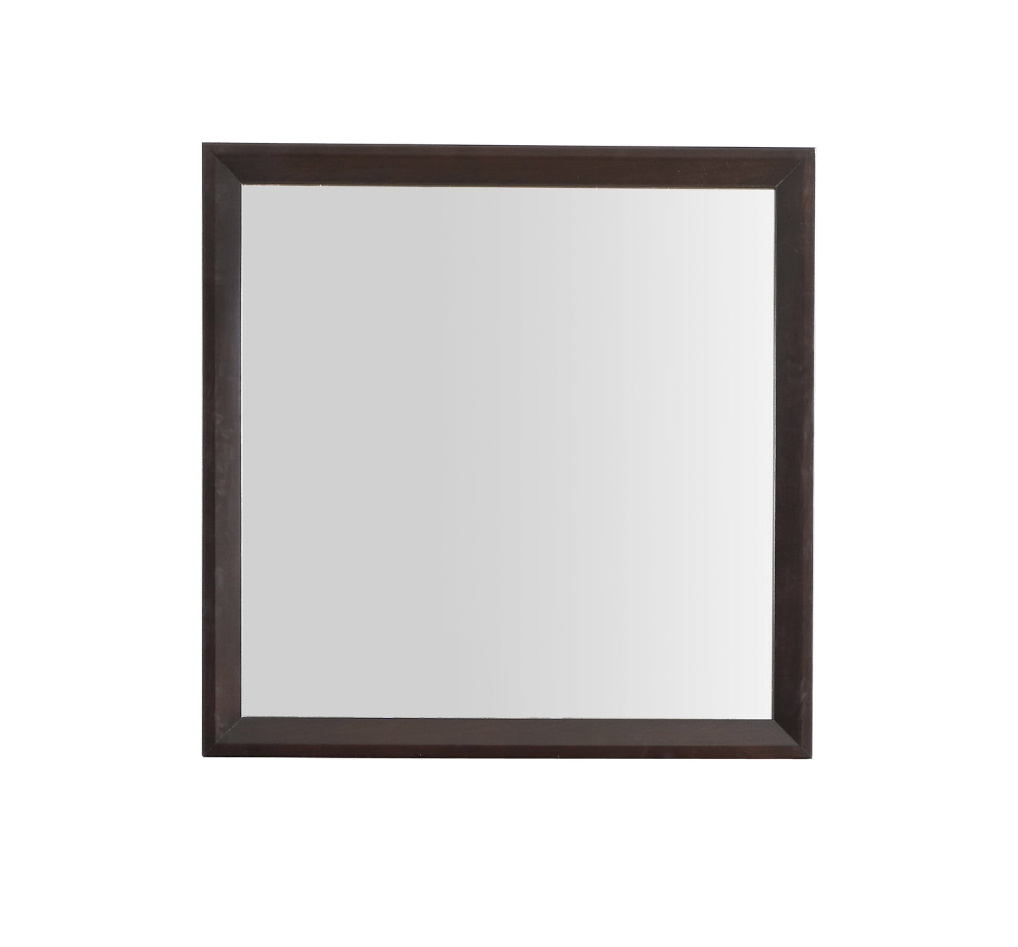 Primo G1300-M Mirror