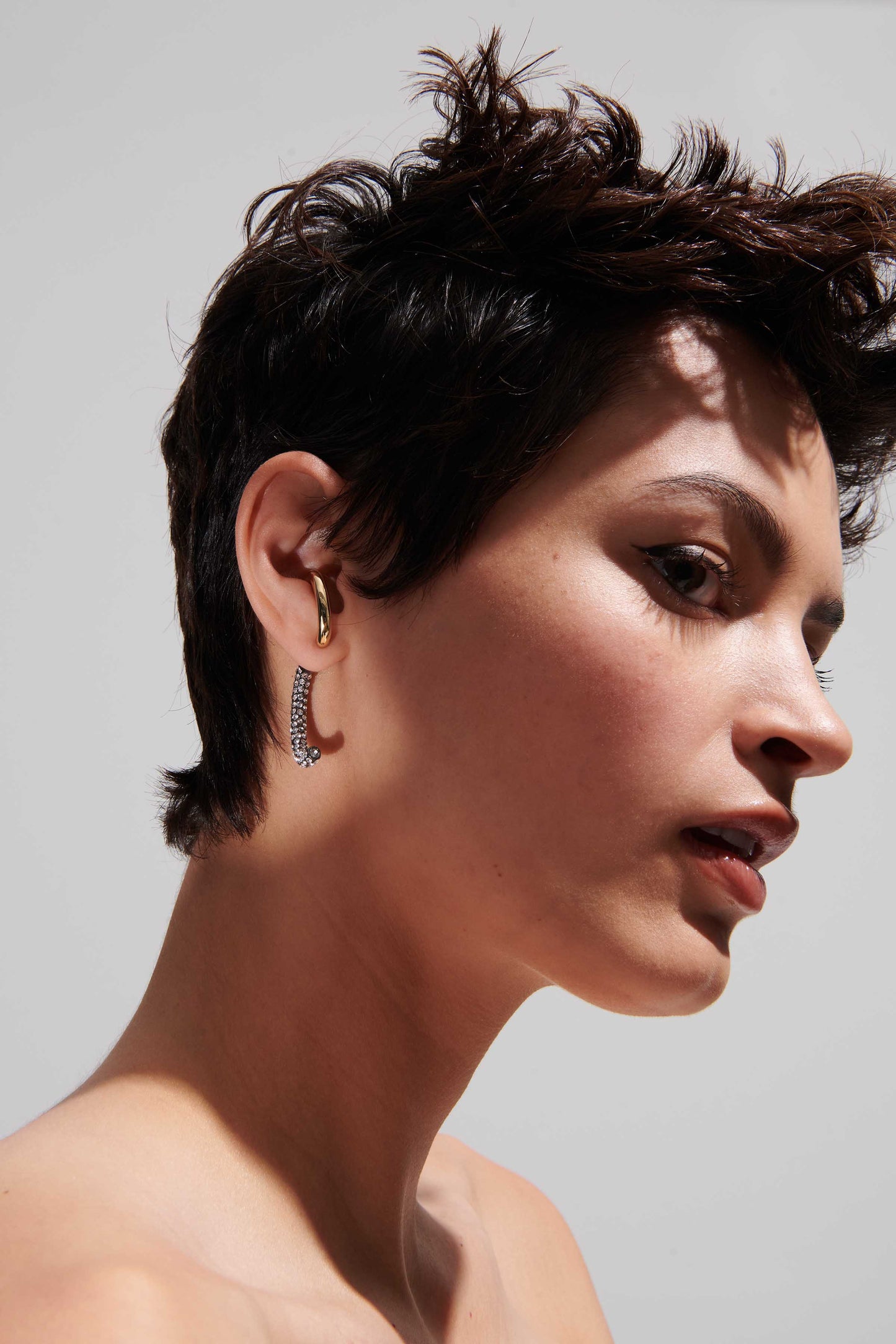 Luna Pavé Earrings