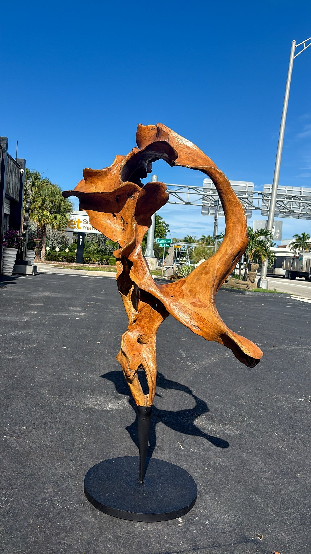 Teak Sculpture with Black Base