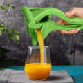 Portable Manual Press Juicer Extractor Squeezer Squash