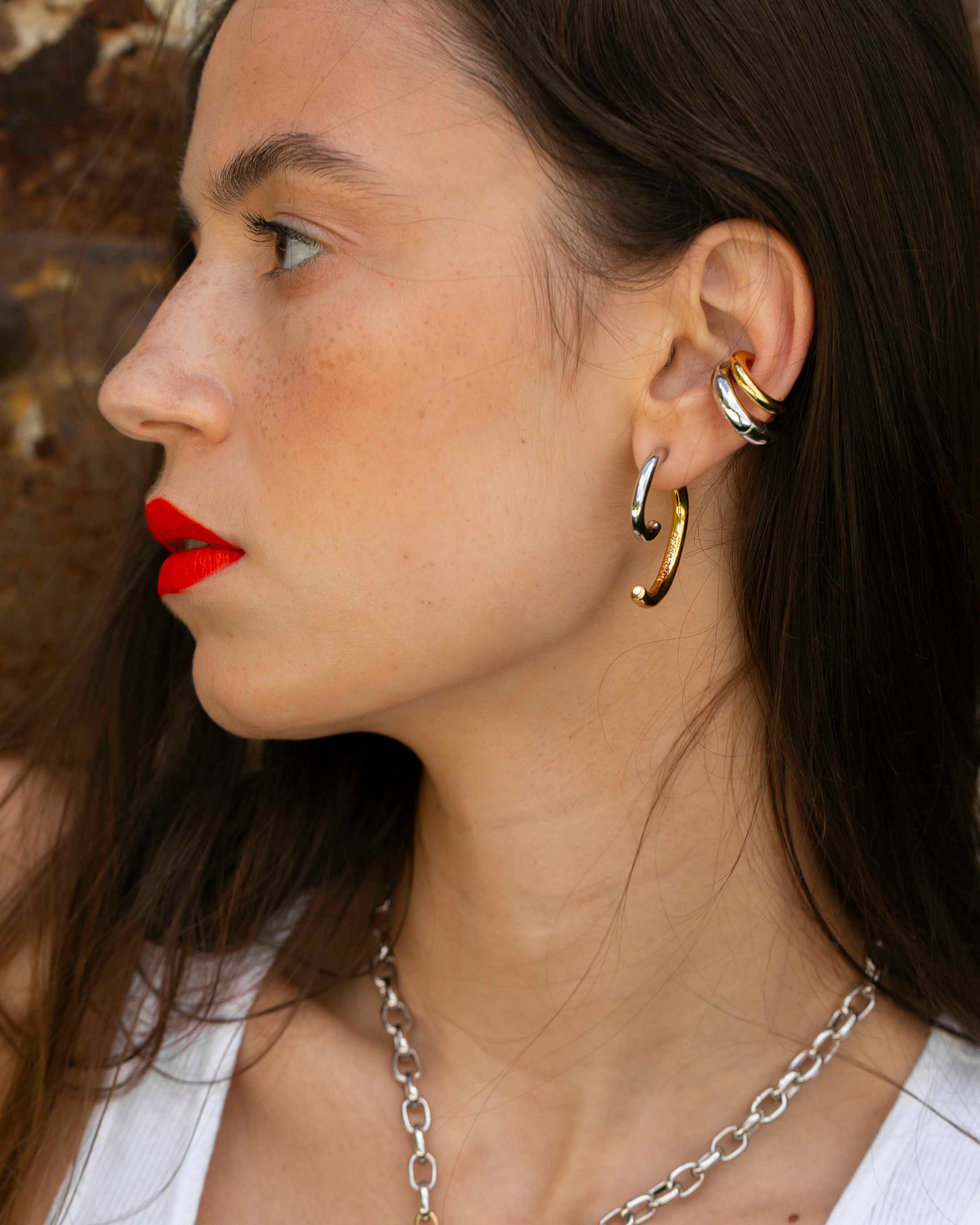 Luna Two-Tone Earrings