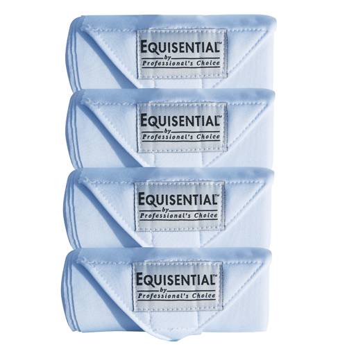 Bande de repos Equisential