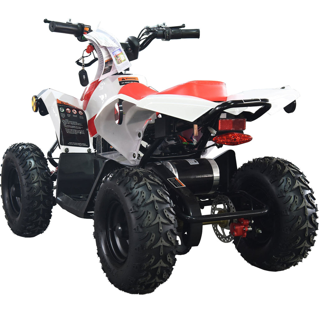 36V 1.0 kW 鉛酸ATV