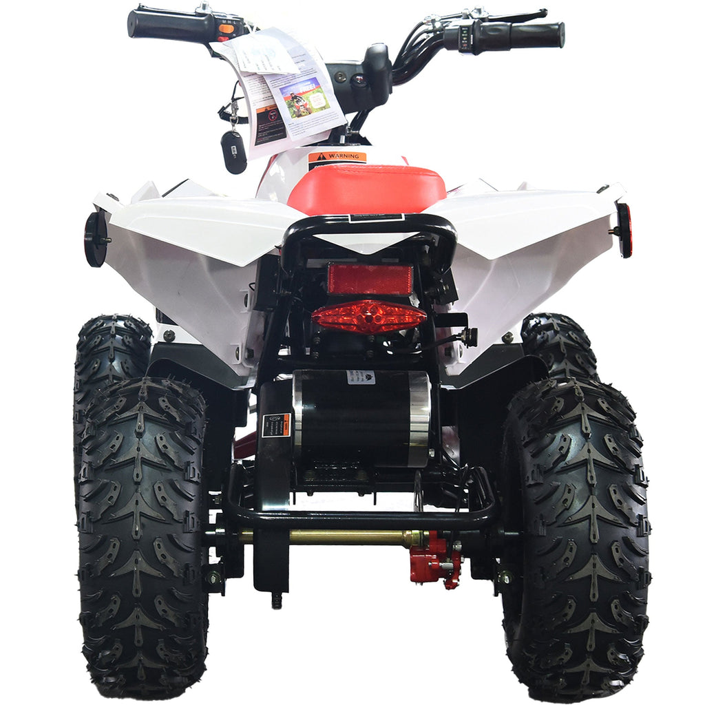 36V 1.0 kW 鉛酸ATV