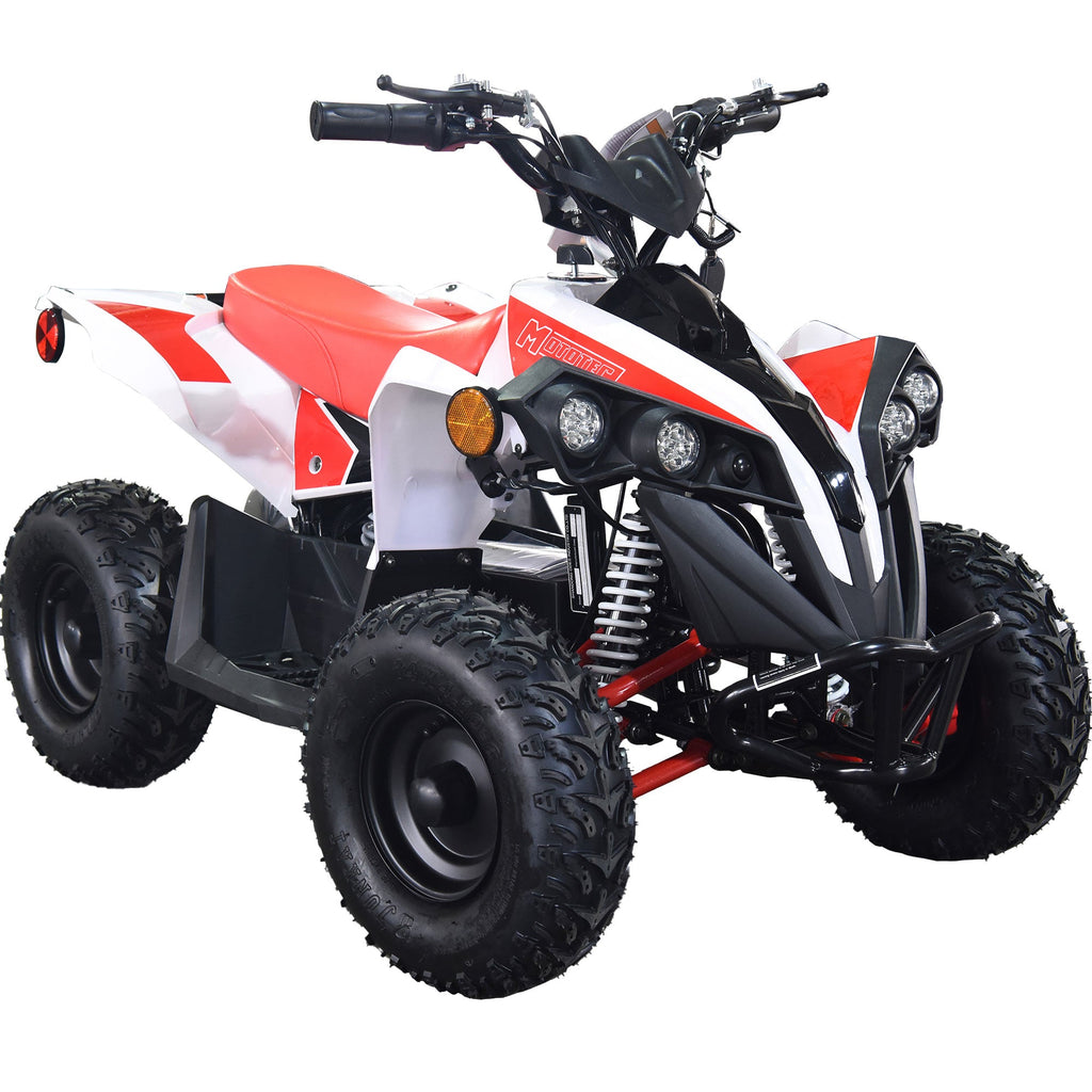 36V 1.0 kW 鉛酸ATV
