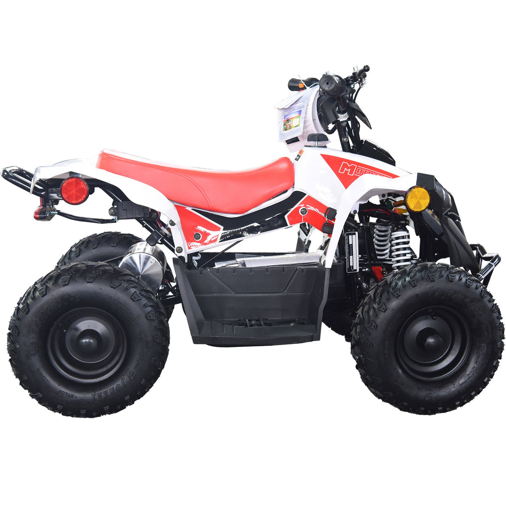 36V 1.0 kW 鉛酸ATV