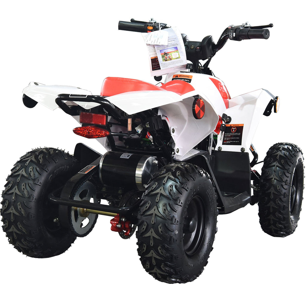 36V 1.0 kW 鉛酸ATV