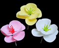 Fleur de magnolia – jaune avec étamine verte, 25 ct