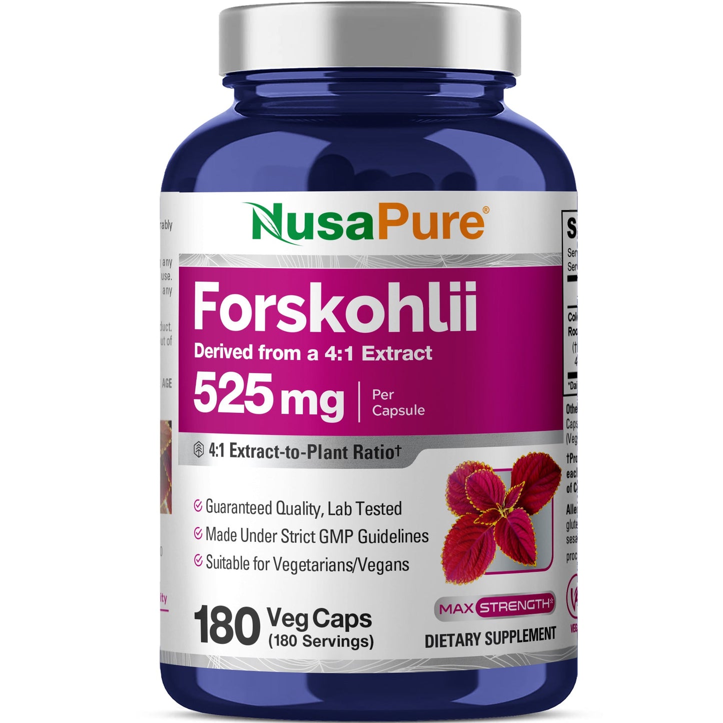 NusaPure Forskohlii 4:1 Extract, 525 mg per Veggie Caps - 180 Capsules (Non-GMO, Vegan & Gluten Free)