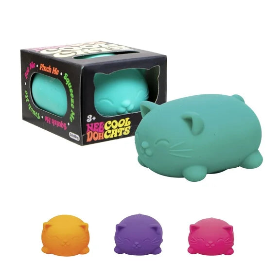 Schylling NeeDoh® Fidget Toy
