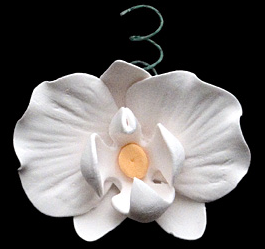 ファレノプシスの花とつぼみ - 合計27個