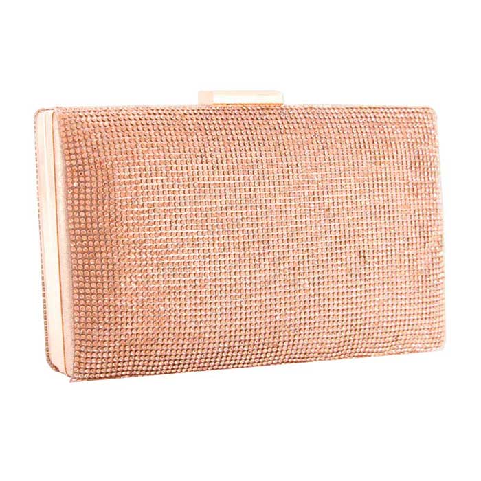 Shimmery Evening Clutch Bag