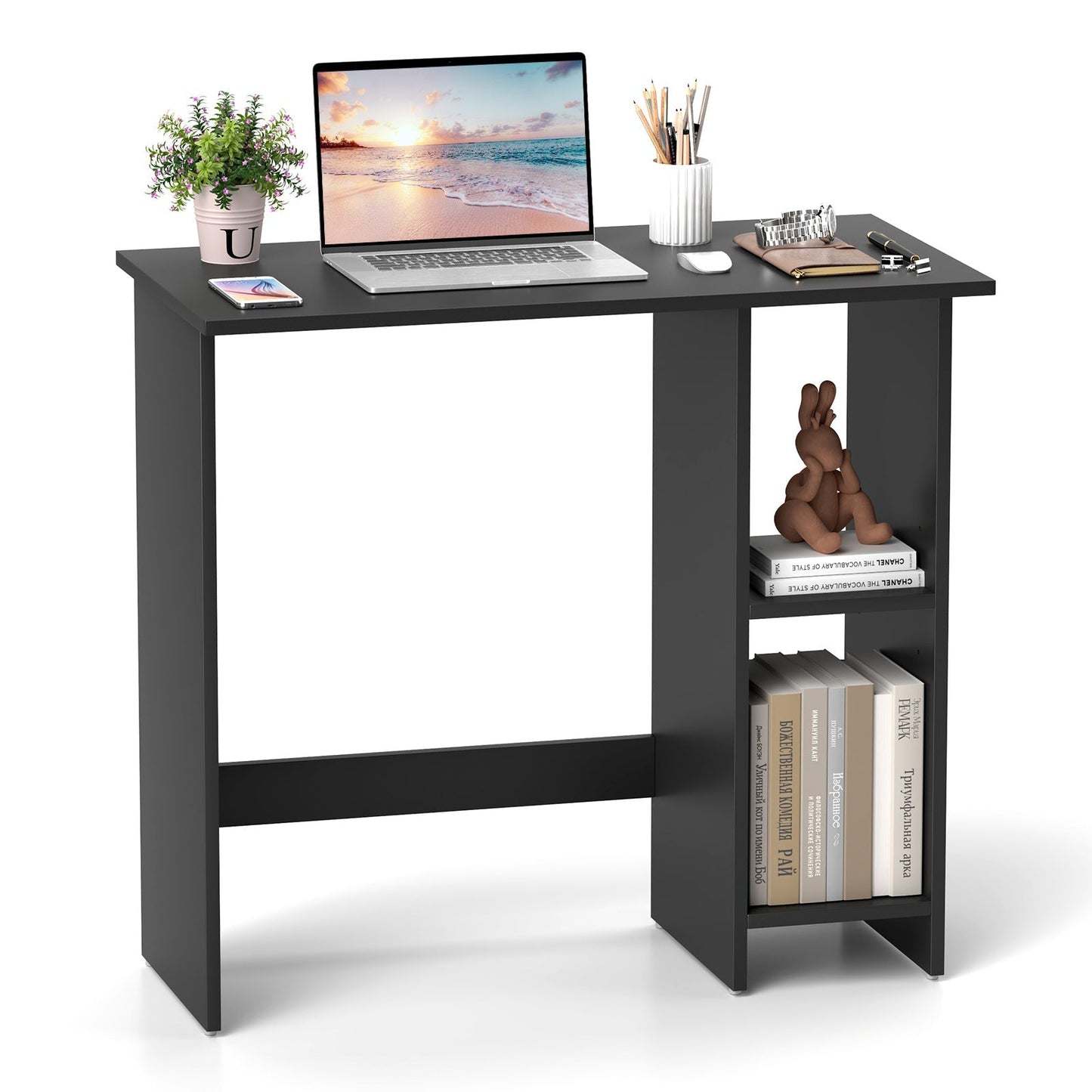 Small Computer Desk with Storage and Adjustable Shelf