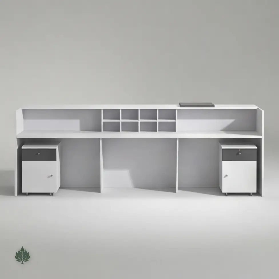 Mirel · Front Reception Desk