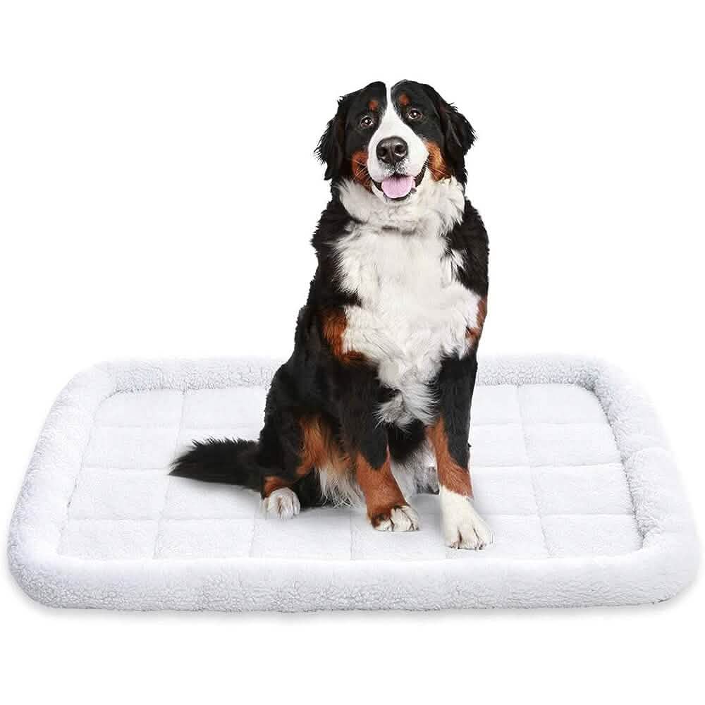 Panier pour animaux de compagnie Amazon Basics avec traversin rembourré en fausse fourrure Sherpa