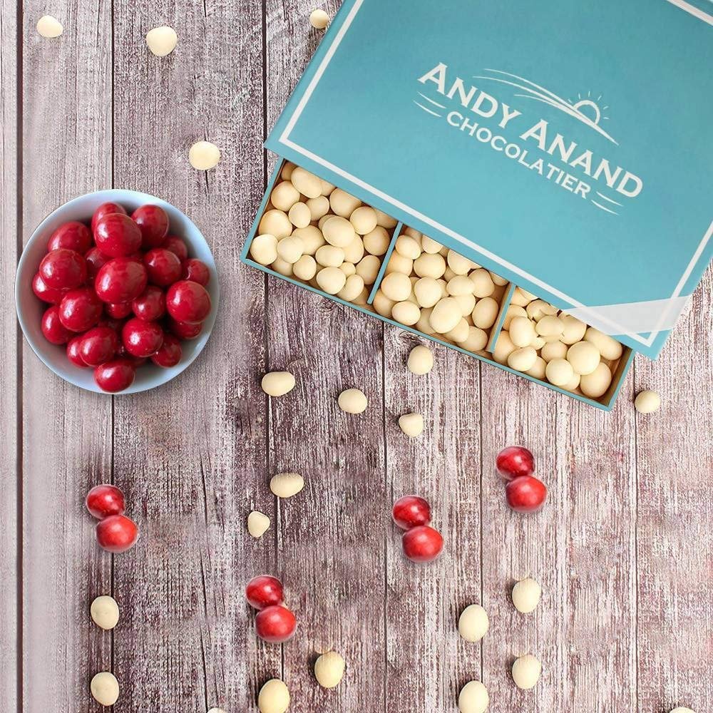 Andy Anand White Chocolate Covered California Cranberries, 1 lb – Sweet-Tart Gourmet Snack, No Preservatives, Birthday & Holiday Gift Box
