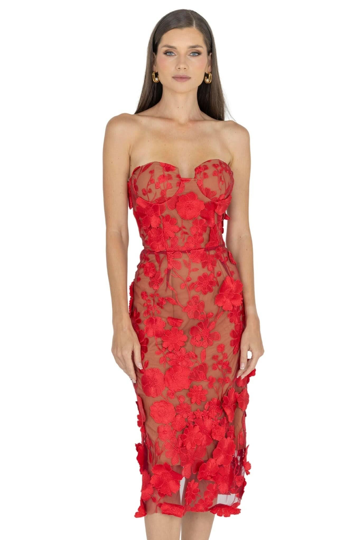 Anni Floral Embroidered Strapless Midi Dress