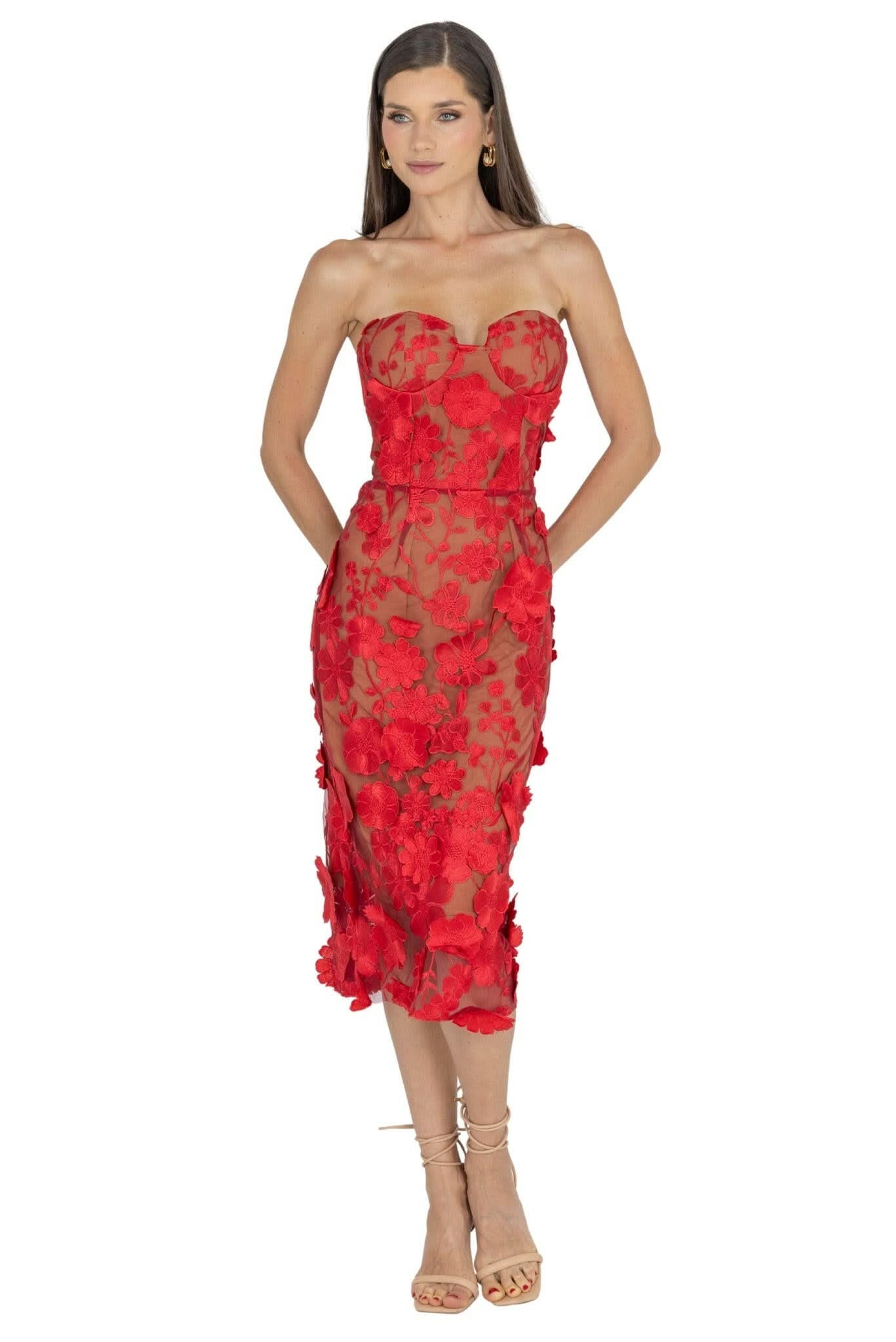 Anni Floral Embroidered Strapless Midi Dress
