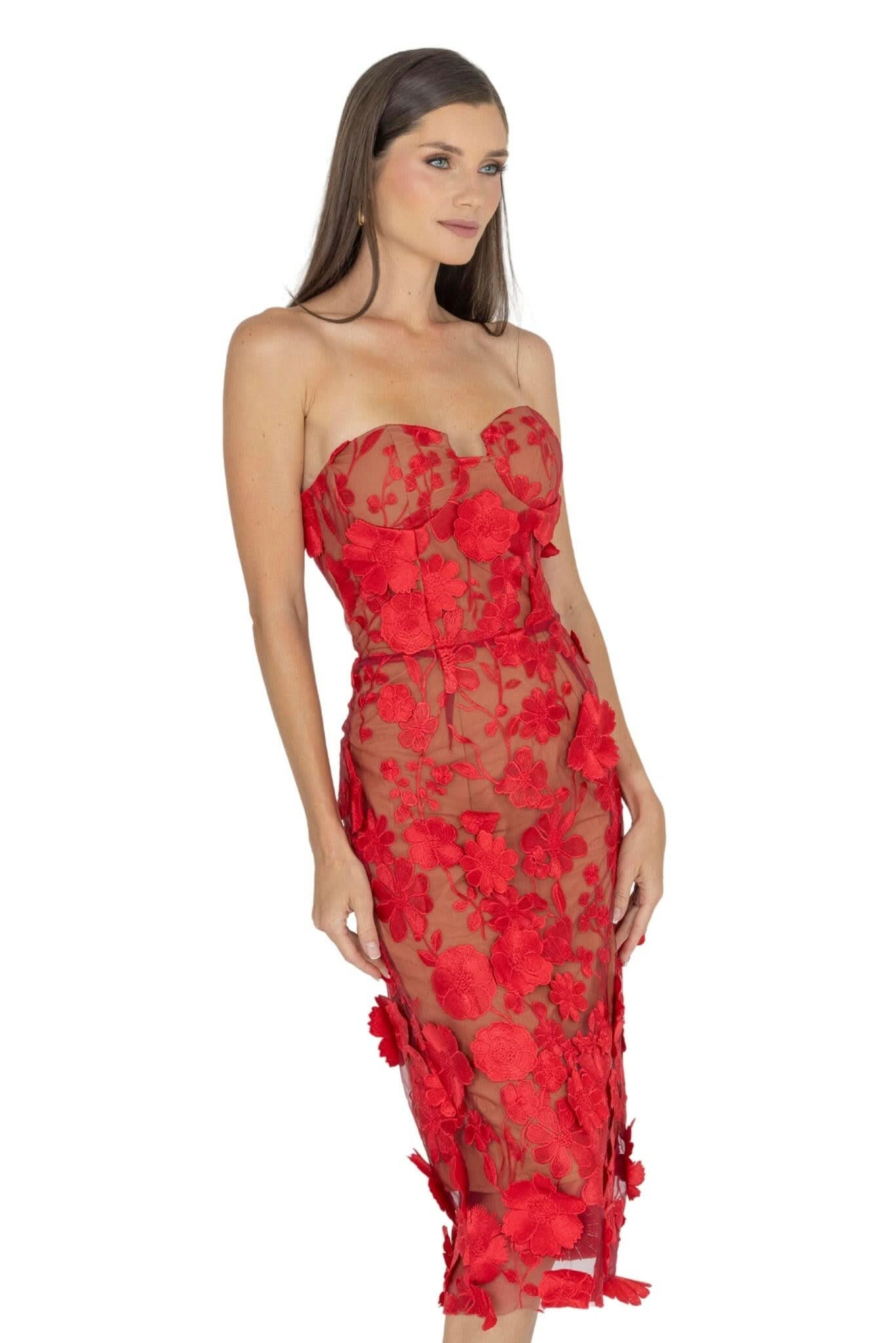 Anni Floral Embroidered Strapless Midi Dress